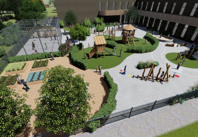 Capelle ad Ijssel- Olijfboom_7 - Photo Capelle ad Ijssel- Olijfboom_7 - Photo