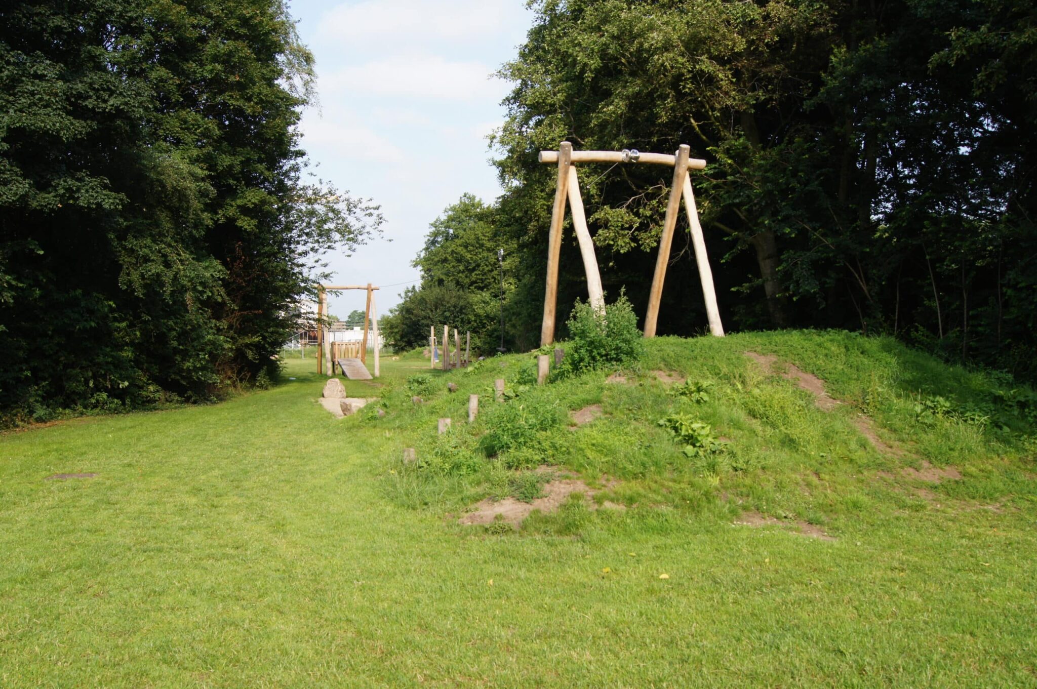 Robinia kabelbaan natuurlijk