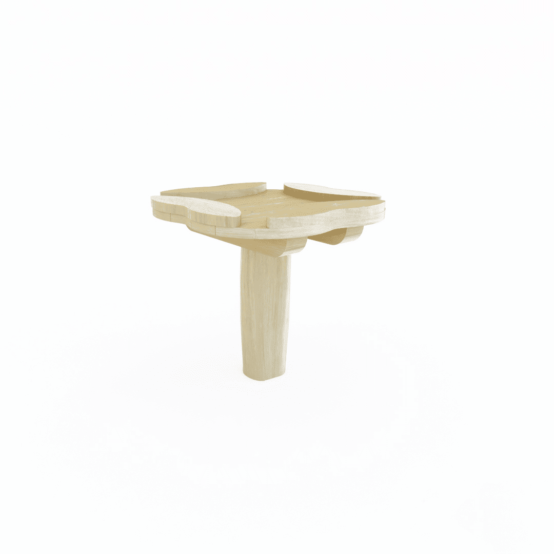 zandtafel bloem robinia