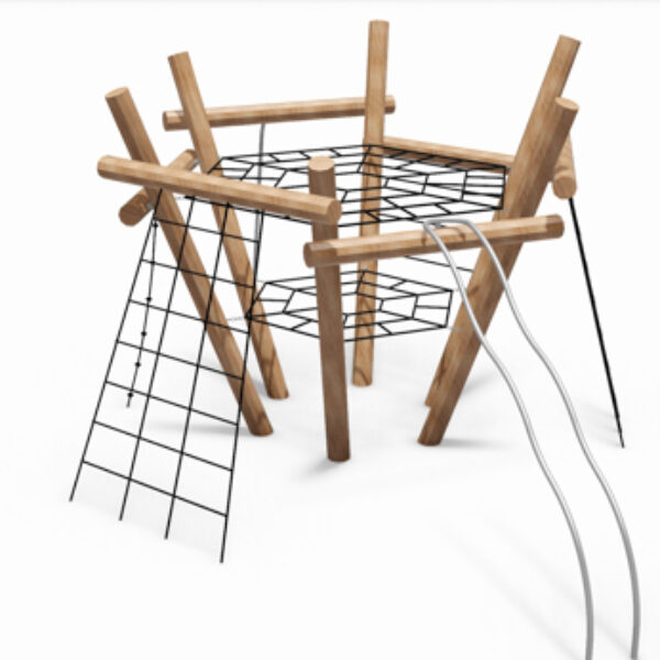 Klimtoestel Ster van Afrika Robinia