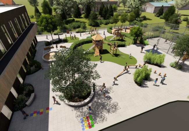 Capelle ad Ijssel- Olijfboom_1 - Photo Capelle ad Ijssel- Olijfboom_1 - Photo