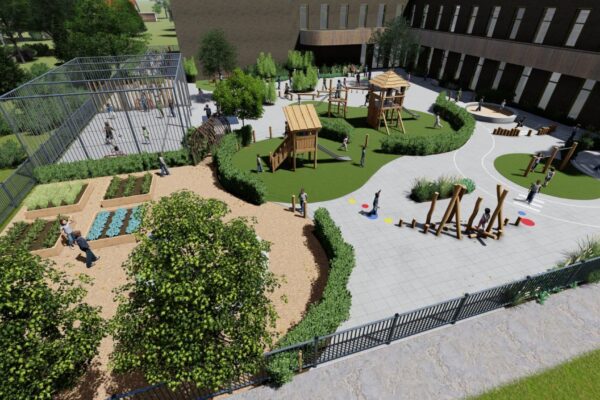 Capelle ad Ijssel- Olijfboom_7 - Photo