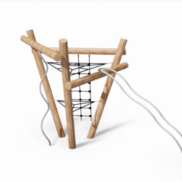 Robinia Klimtoestel Ster van Azië