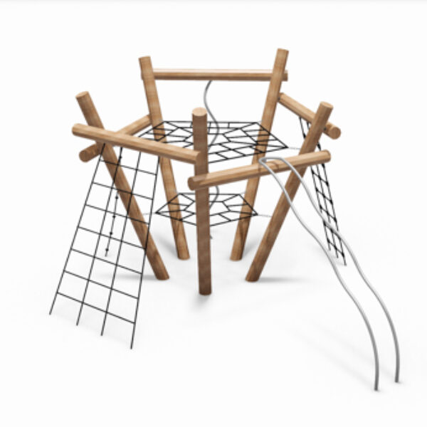 Klimtoestel Ster van India Robinia